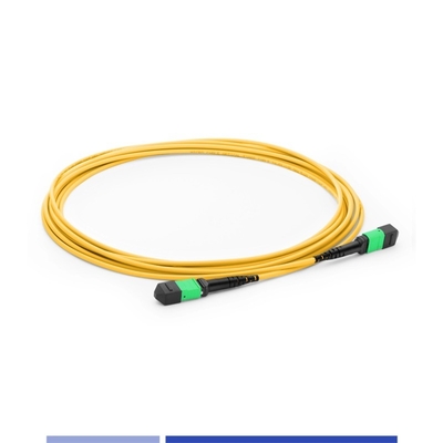 12 Core MTP® Fiber Optic Patch Cord Female SingleMode G652D 10m كابلات الألياف الضوئية ذات النوع B OFNP